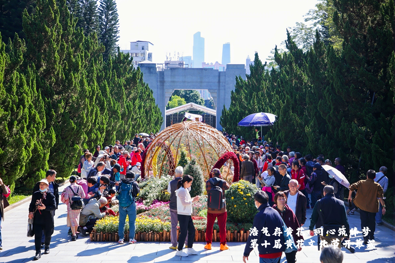 图片63.png