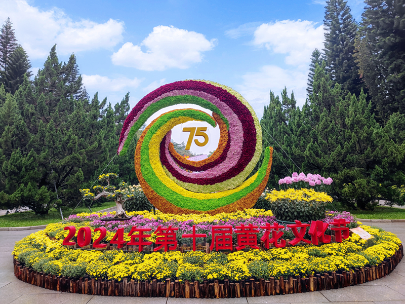 图片66.png